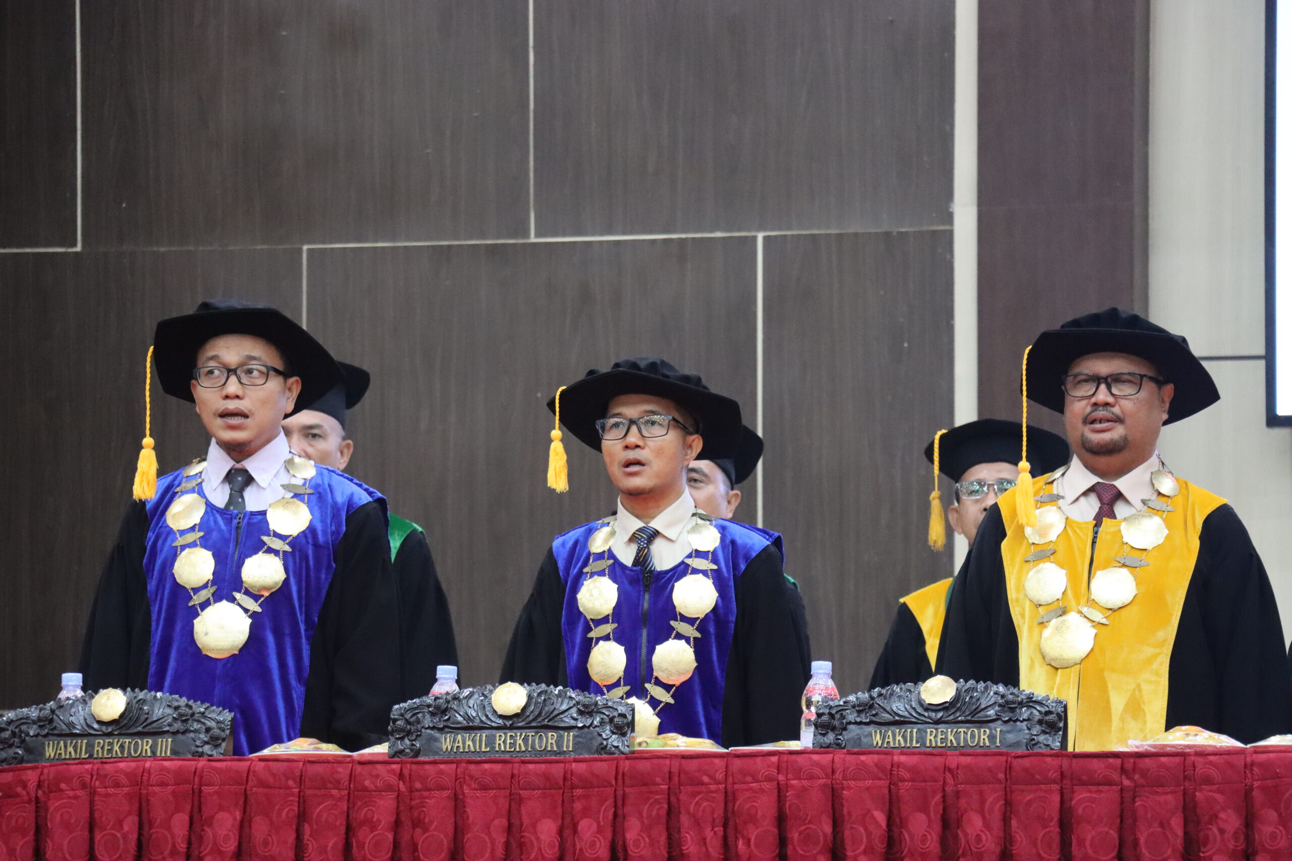 Ginekologik stulda mushuklarning fotosuratlari Ginekologik stulda mushuklarning fotosuratlari